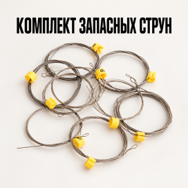 Комплект запасных струн.png